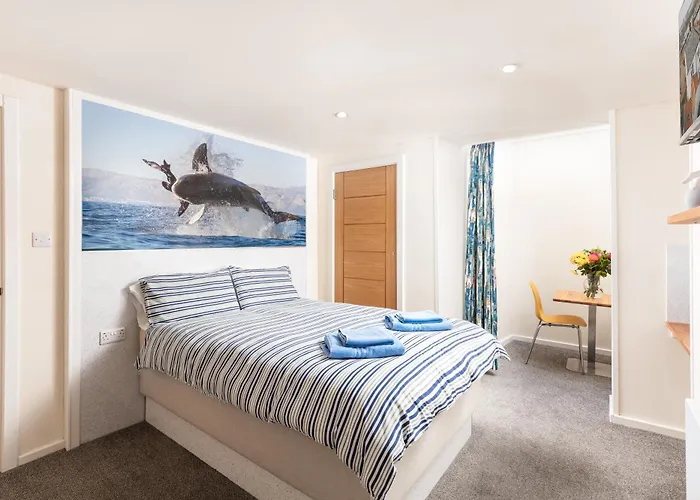 Discovery House 惠特比