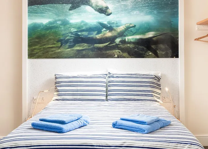 Discovery House 胶囊旅馆